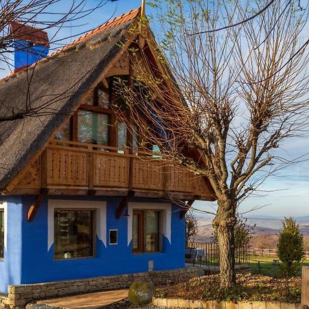 Casele Cu Stuf B&B Haus Ulrike Sălicea Buitenkant foto