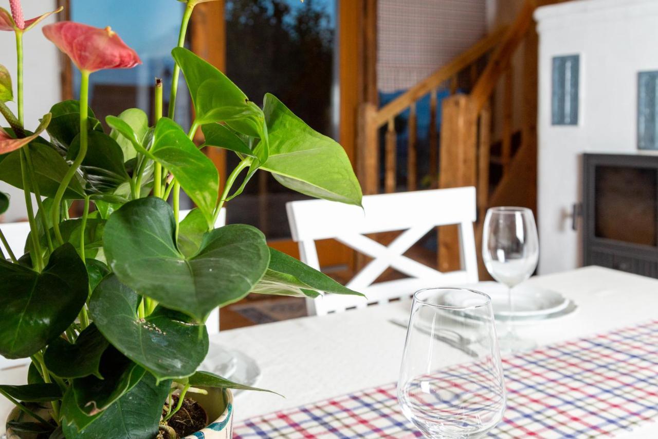 Casele Cu Stuf B&B Haus Ulrike Sălicea Buitenkant foto