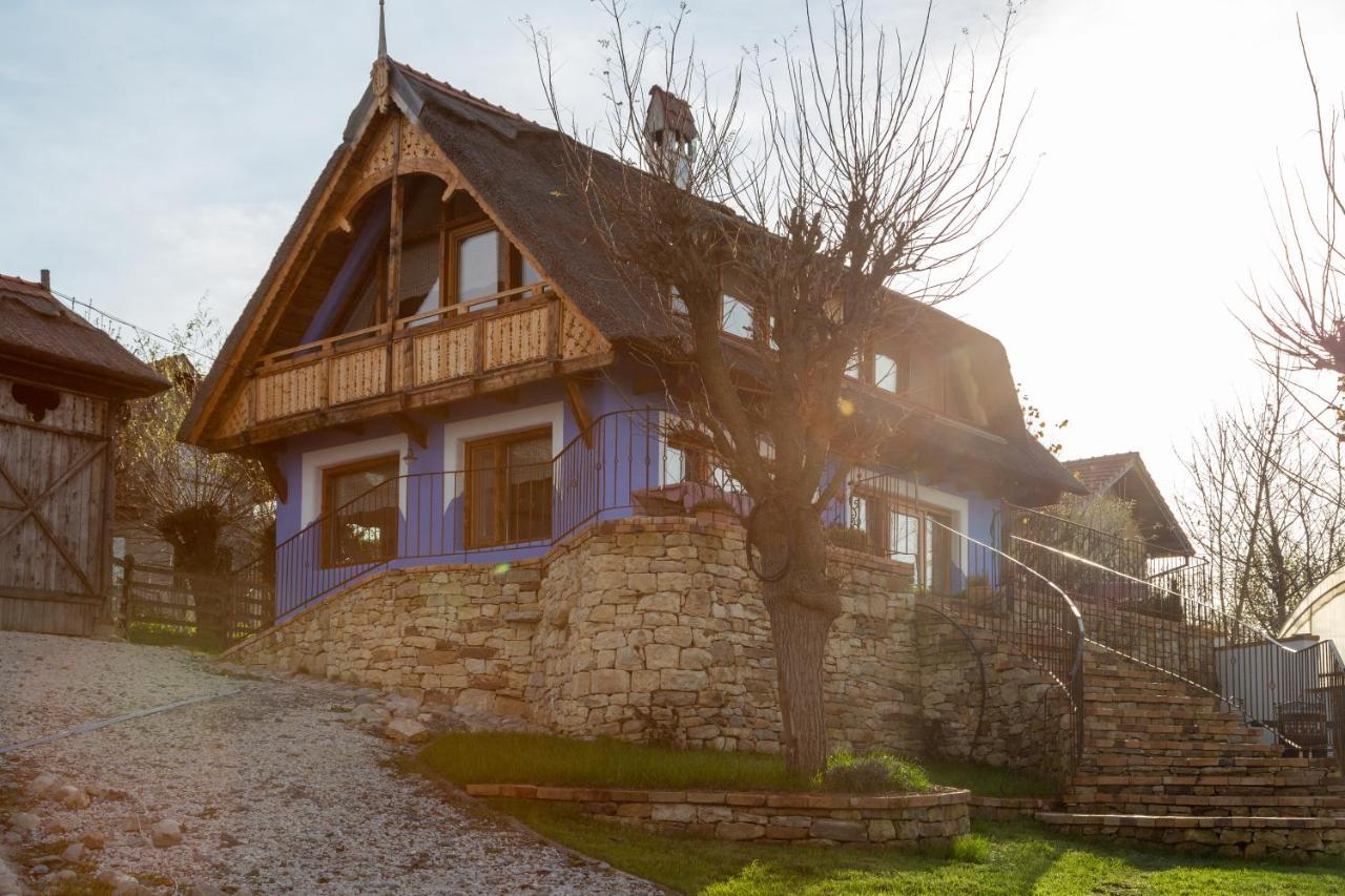 Casele Cu Stuf B&B Haus Ulrike Sălicea Buitenkant foto