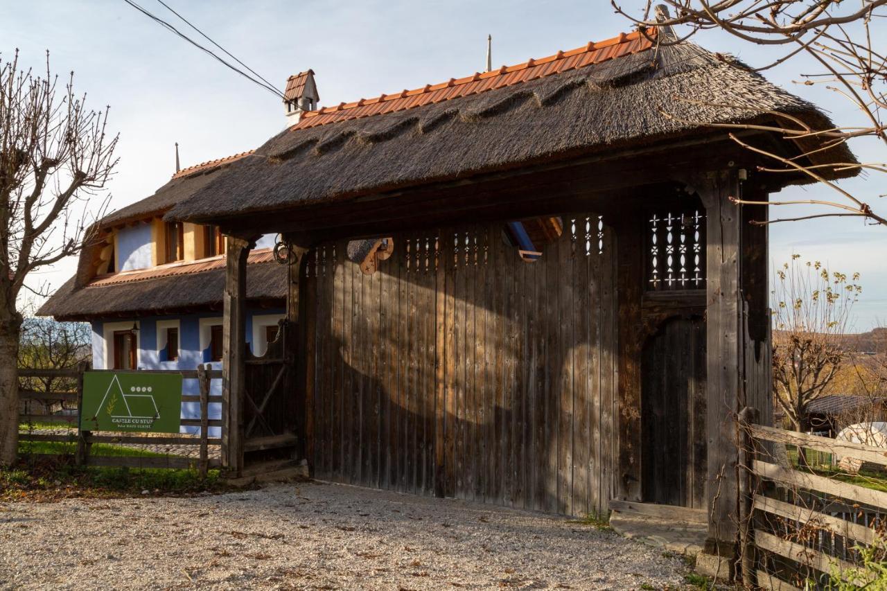 Casele Cu Stuf B&B Haus Ulrike Sălicea Buitenkant foto