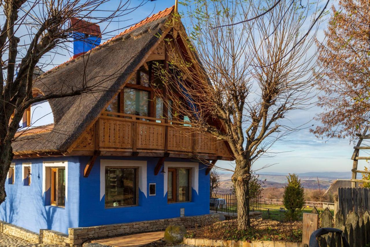Casele Cu Stuf B&B Haus Ulrike Sălicea Buitenkant foto