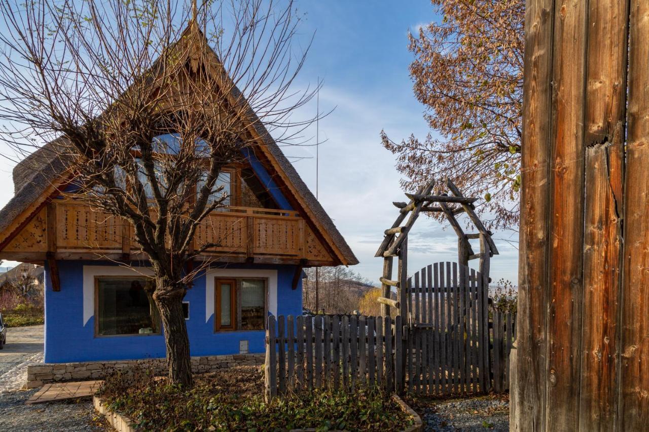 Casele Cu Stuf B&B Haus Ulrike Sălicea Buitenkant foto