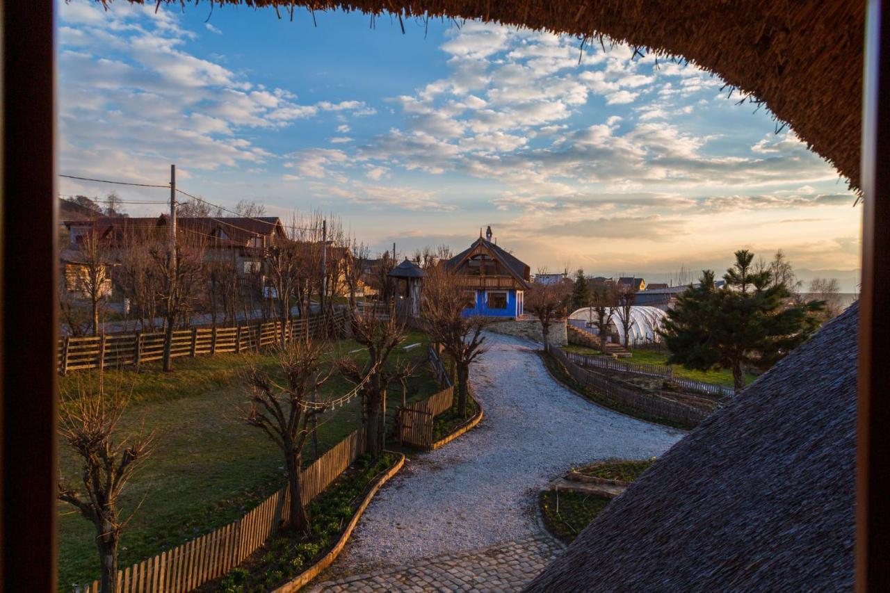 Casele Cu Stuf B&B Haus Ulrike Sălicea Buitenkant foto