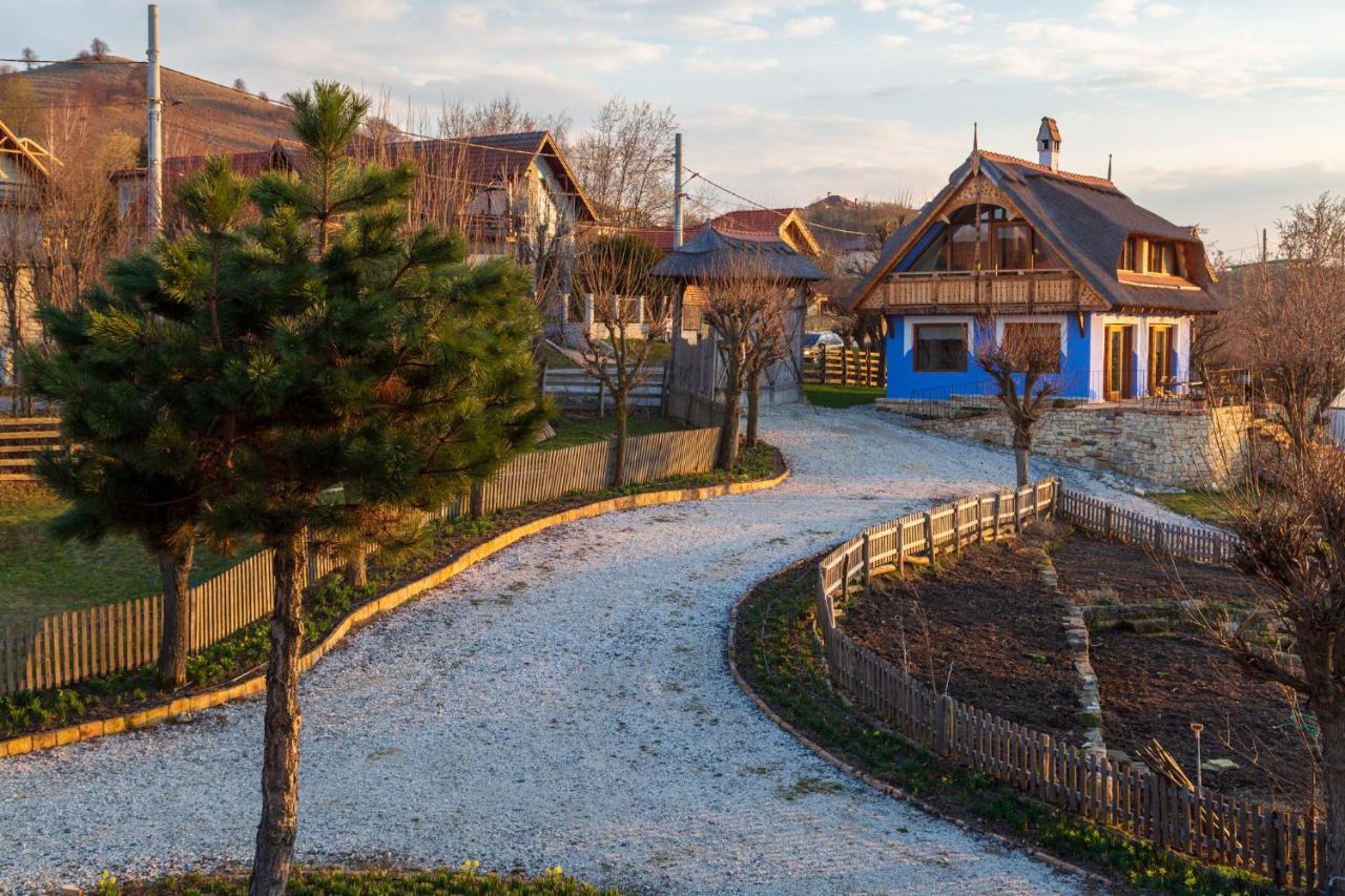 Casele Cu Stuf B&B Haus Ulrike Sălicea Buitenkant foto