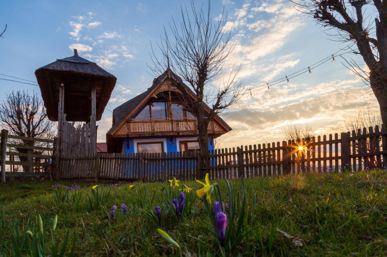 Casele Cu Stuf B&B Haus Ulrike Sălicea Buitenkant foto