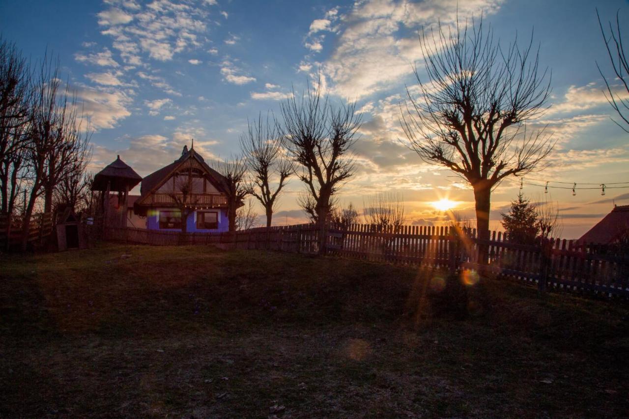 Casele Cu Stuf B&B Haus Ulrike Sălicea Buitenkant foto