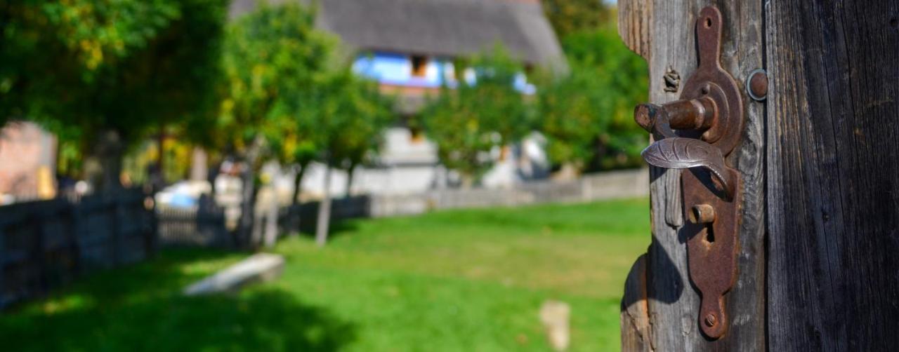 Casele Cu Stuf B&B Haus Ulrike Sălicea Buitenkant foto