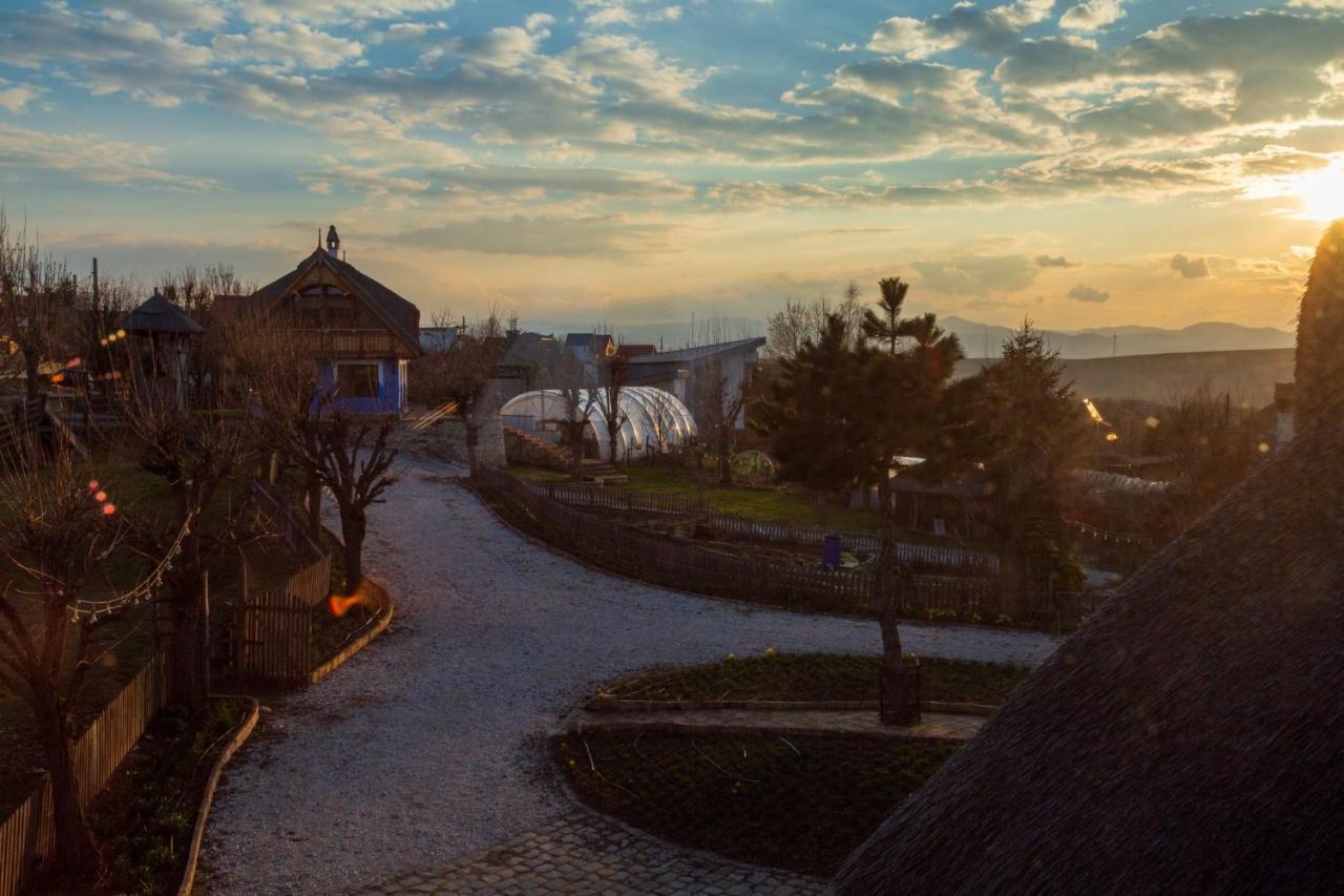 Casele Cu Stuf B&B Haus Ulrike Sălicea Buitenkant foto