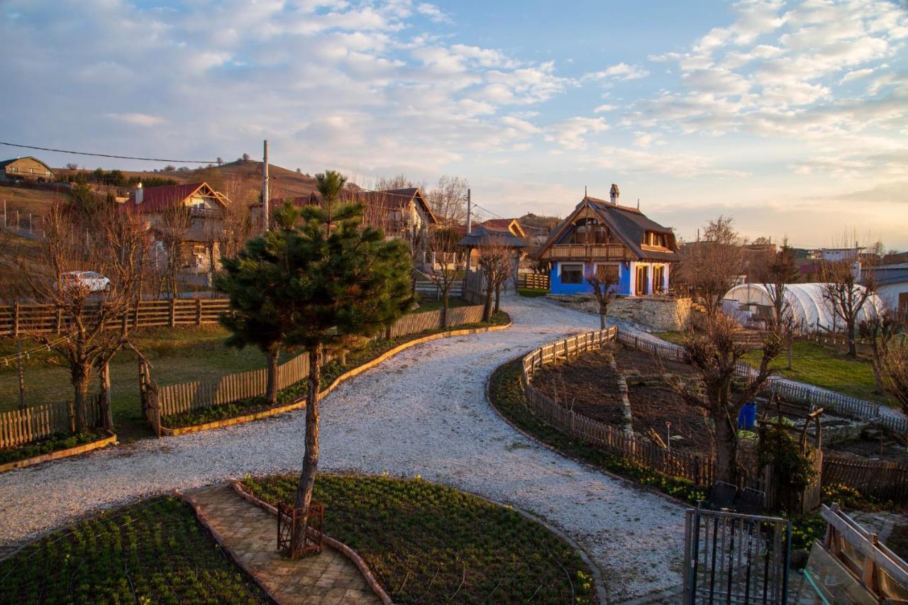 Casele Cu Stuf B&B Haus Ulrike Sălicea Buitenkant foto