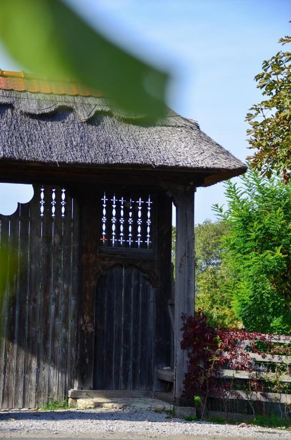 Casele Cu Stuf B&B Haus Ulrike Sălicea Buitenkant foto