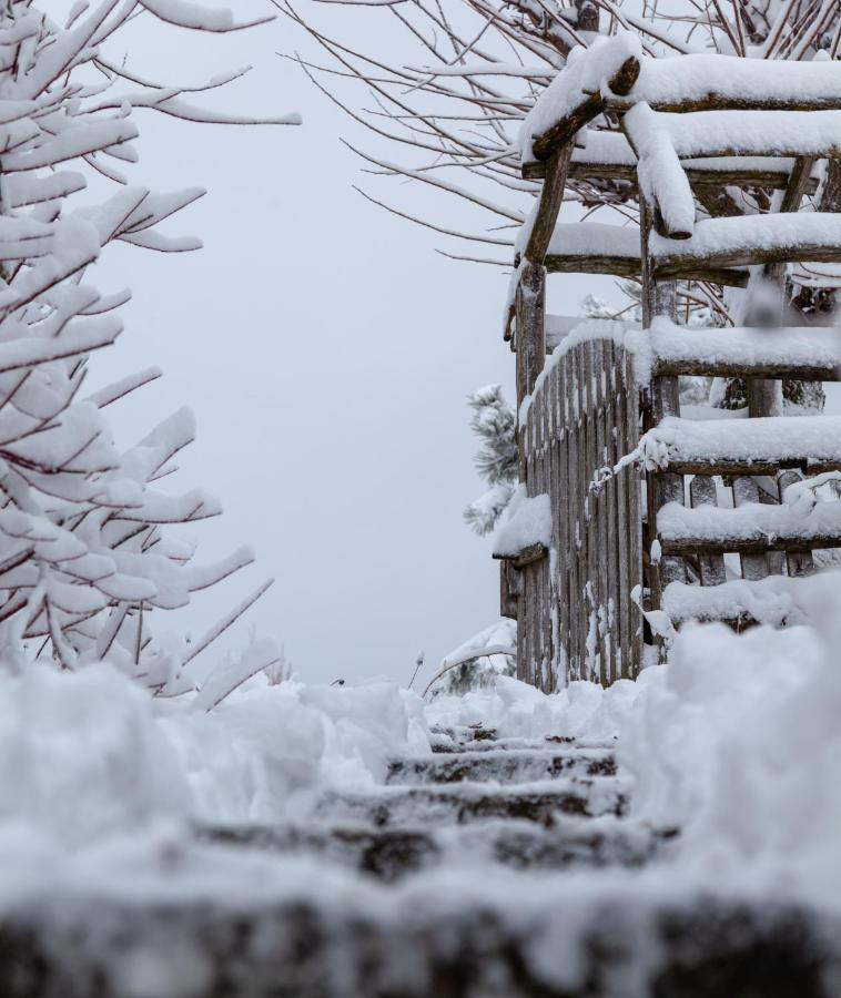 Casele Cu Stuf B&B Haus Ulrike Sălicea Buitenkant foto