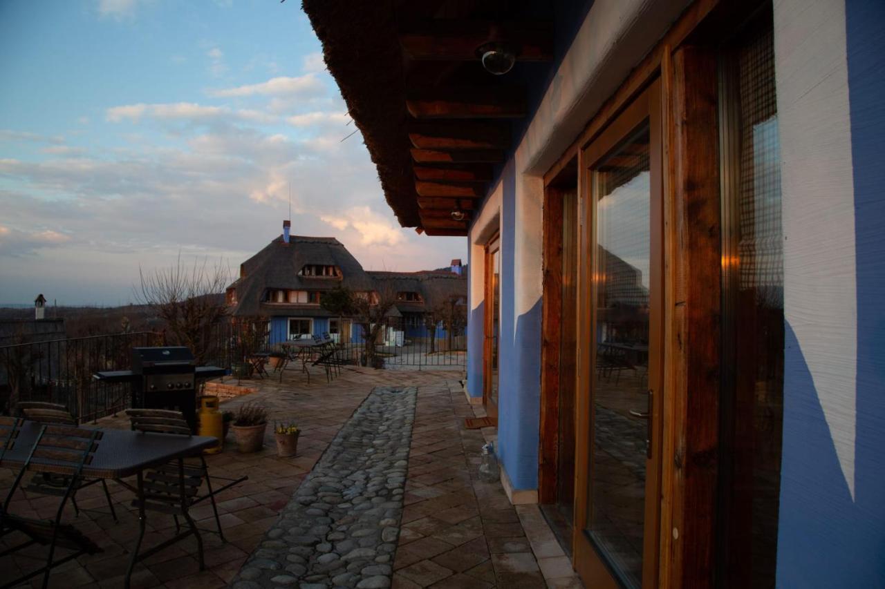 Casele Cu Stuf B&B Haus Ulrike Sălicea Buitenkant foto