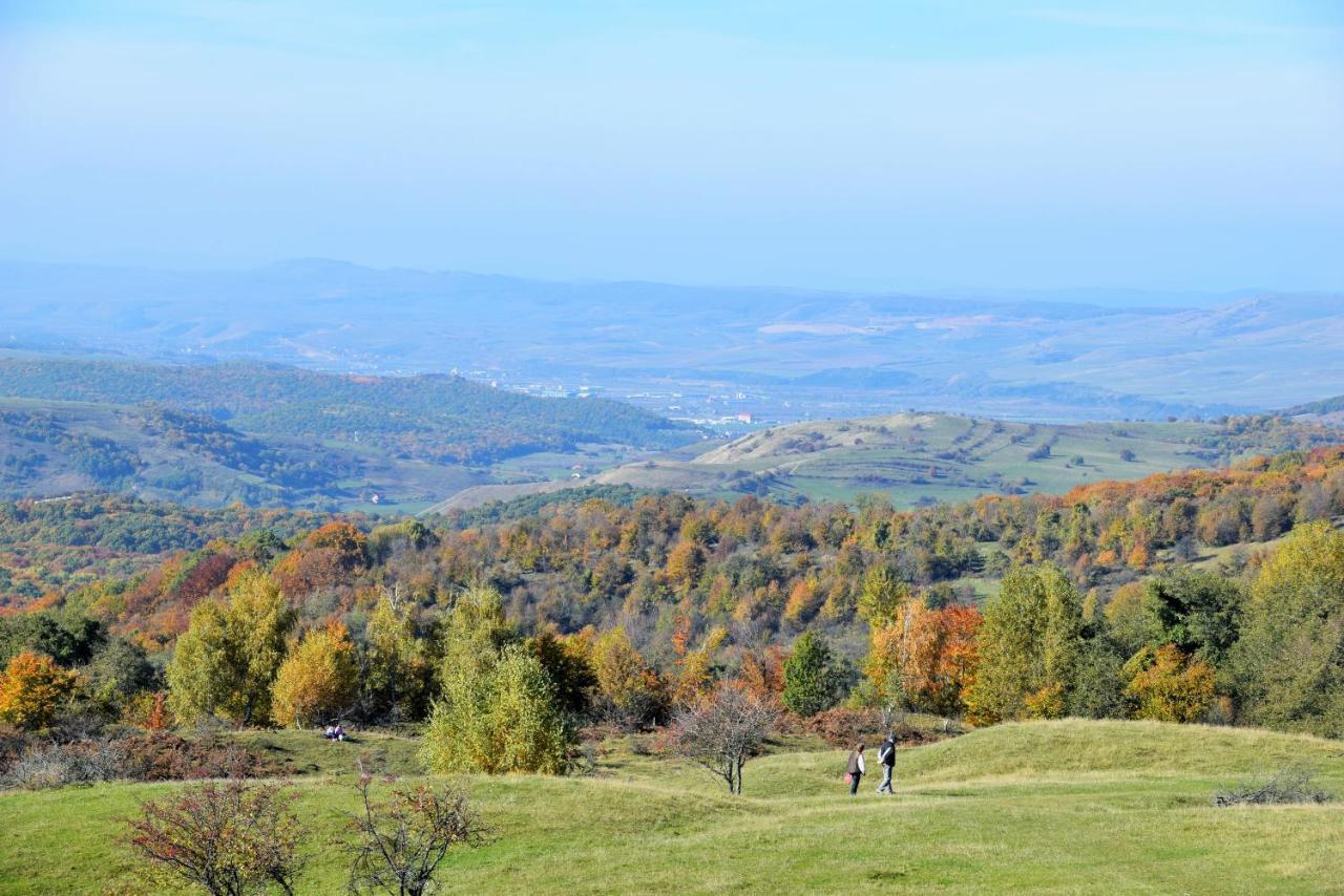 Casele Cu Stuf B&B Haus Ulrike Sălicea Buitenkant foto