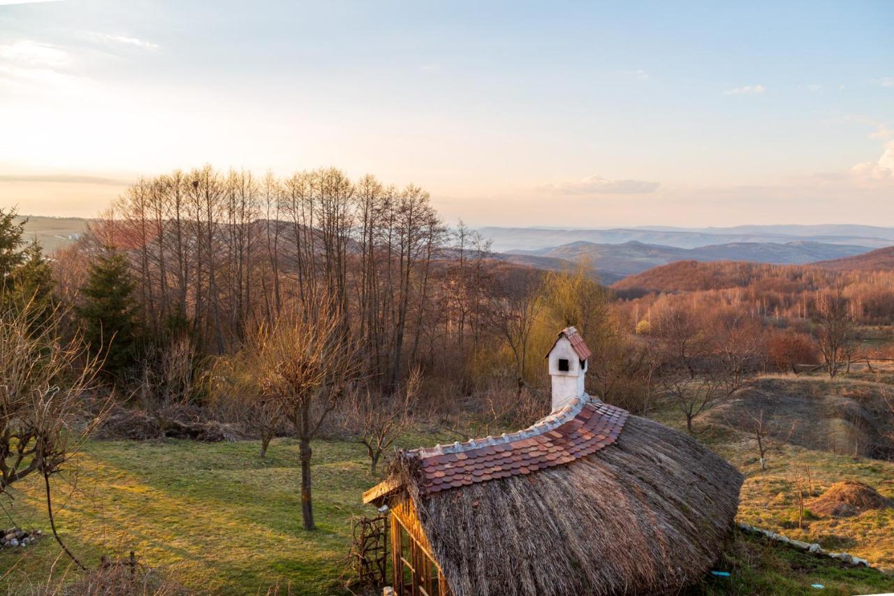Casele Cu Stuf B&B Haus Ulrike Sălicea Buitenkant foto
