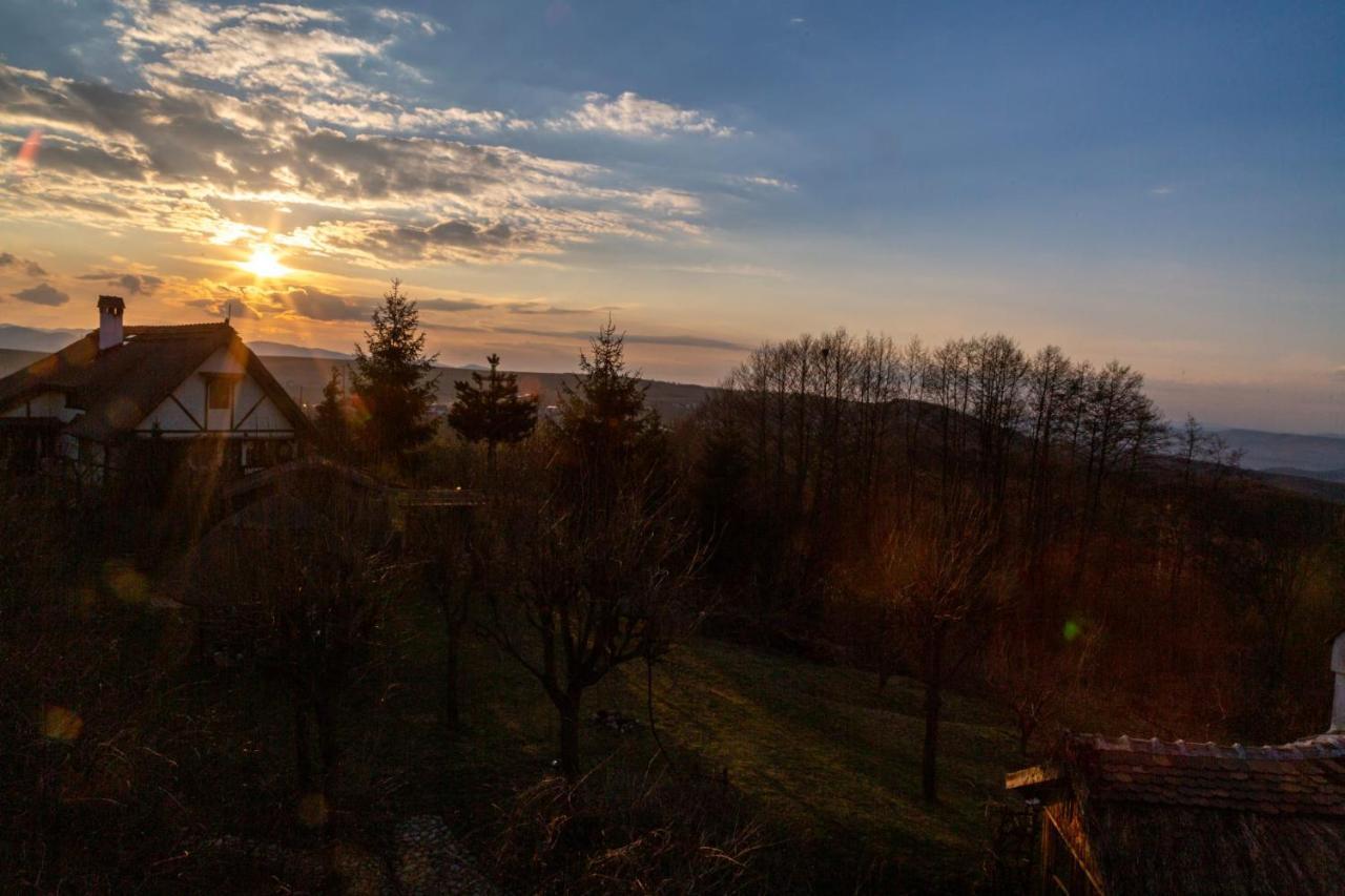 Casele Cu Stuf B&B Haus Ulrike Sălicea Buitenkant foto