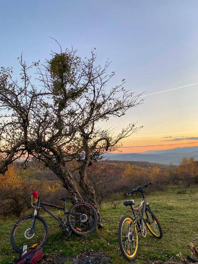 Casele Cu Stuf B&B Haus Ulrike Sălicea Buitenkant foto