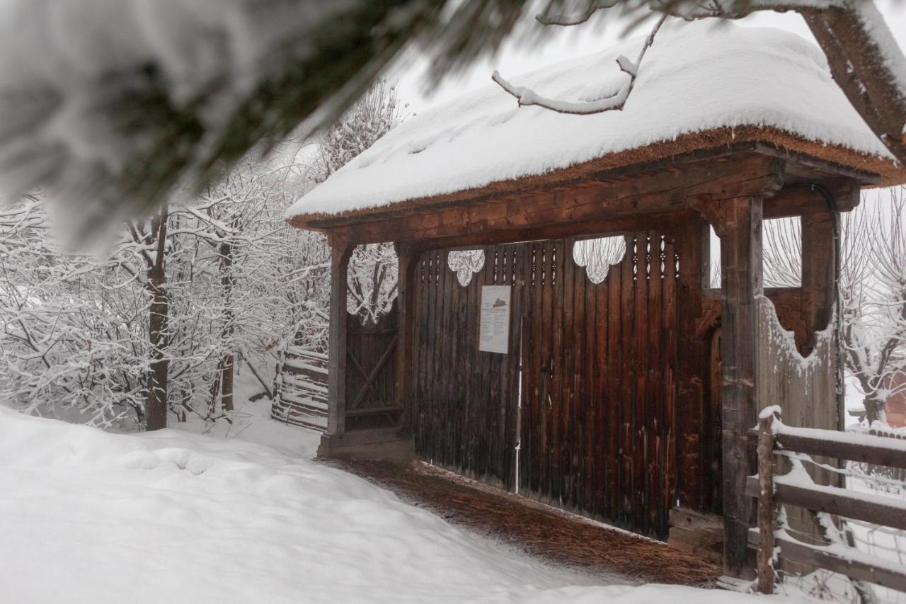 Casele Cu Stuf B&B Haus Ulrike Sălicea Buitenkant foto