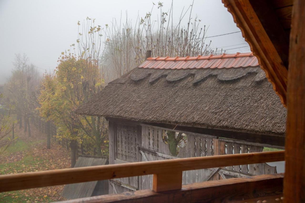 Casele Cu Stuf B&B Haus Ulrike Sălicea Buitenkant foto