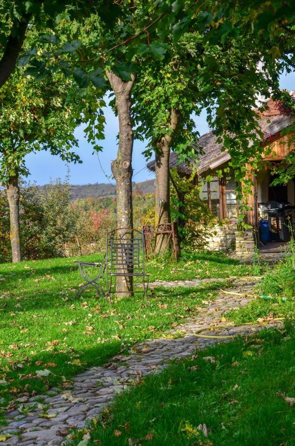 Casele Cu Stuf B&B Haus Ulrike Sălicea Buitenkant foto