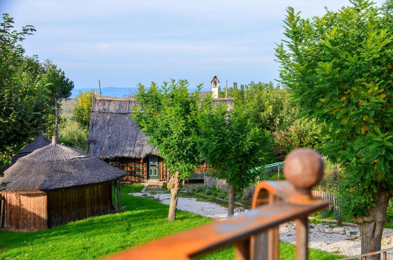 Casele Cu Stuf B&B Haus Ulrike Sălicea Buitenkant foto