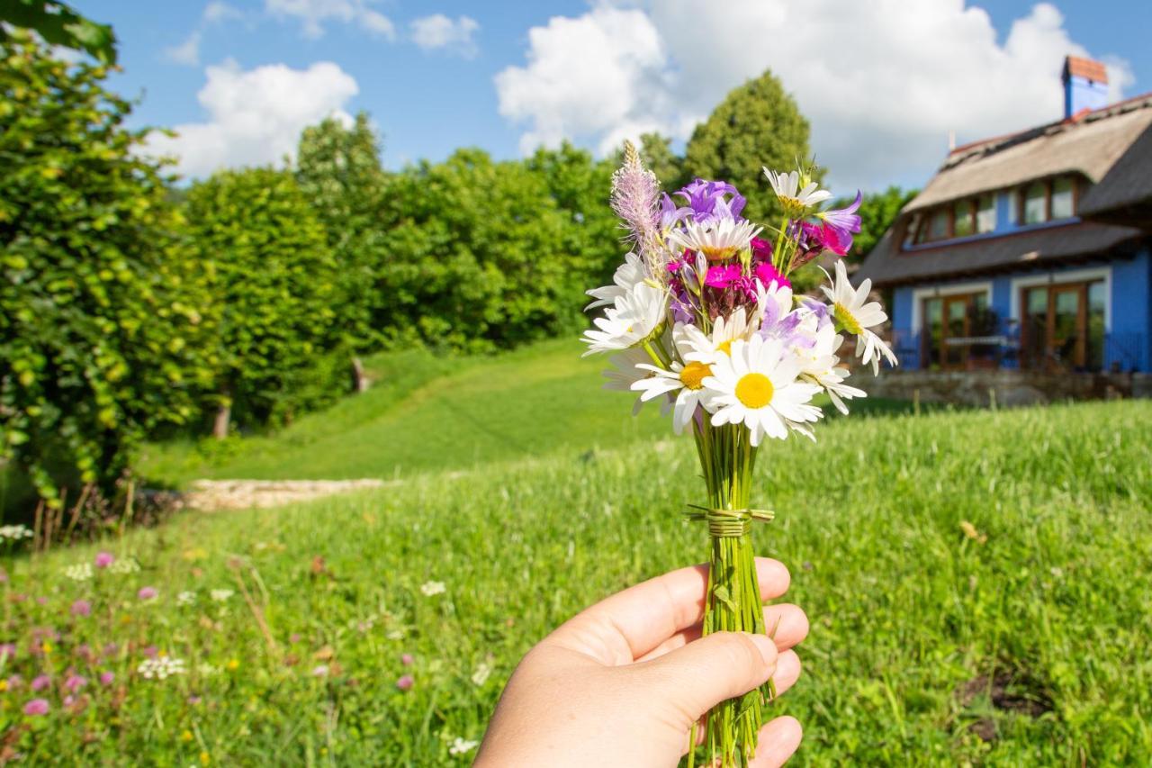 Casele Cu Stuf B&B Haus Ulrike Sălicea Buitenkant foto