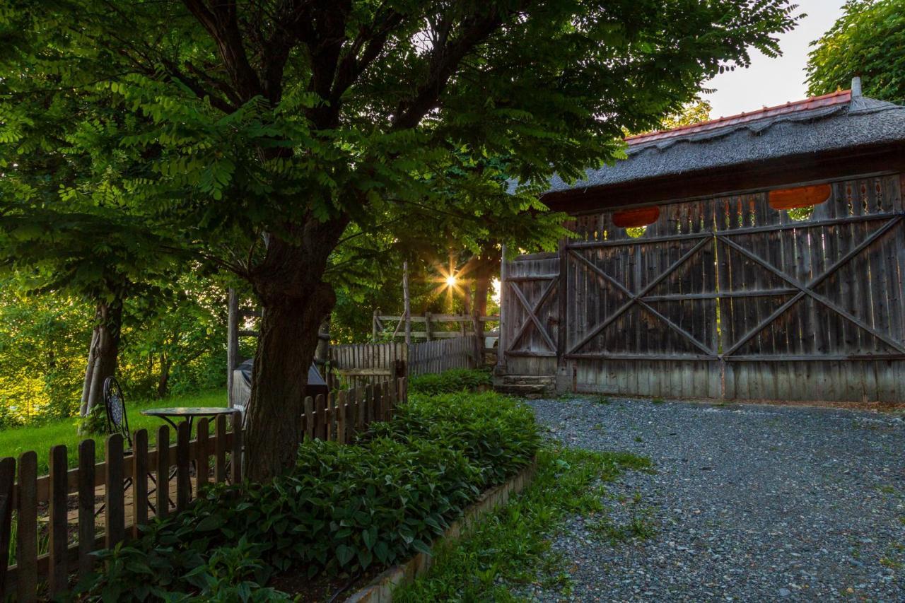 Casele Cu Stuf B&B Haus Ulrike Sălicea Buitenkant foto